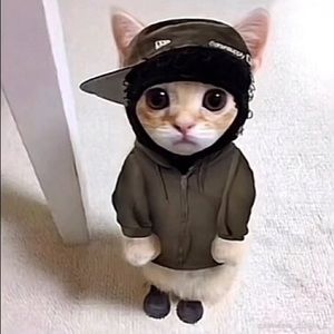 Meet your Posher, Owen